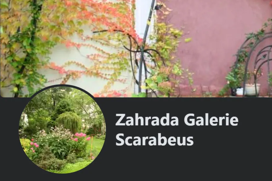 Galerie Scarabeus